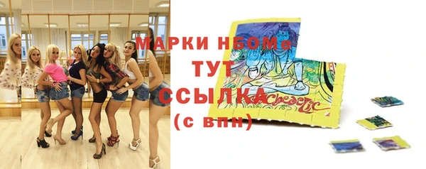 2c-b Ельня