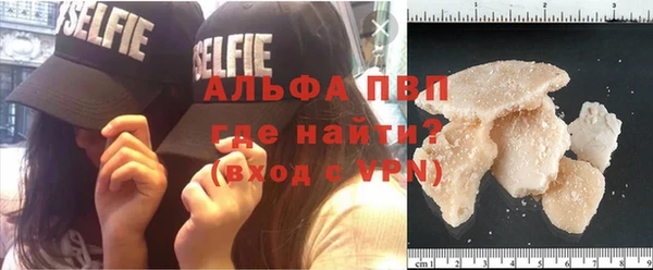 2c-b Ельня