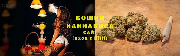 ПСИЛОЦИБИНОВЫЕ ГРИБЫ Елабуга