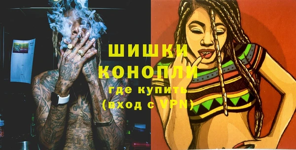 2c-b Ельня