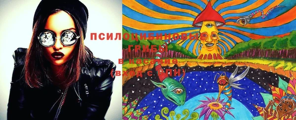 ПСИЛОЦИБИНОВЫЕ ГРИБЫ Елабуга