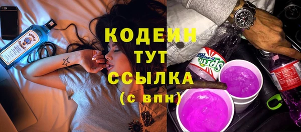 2c-b Ельня