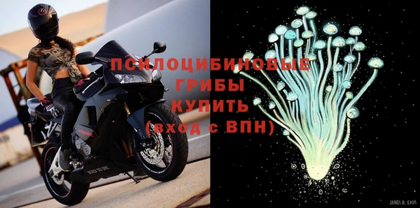 ПСИЛОЦИБИНОВЫЕ ГРИБЫ Елабуга