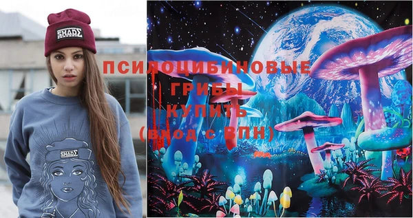 ПСИЛОЦИБИНОВЫЕ ГРИБЫ Елабуга