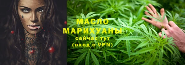 2c-b Ельня
